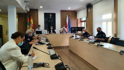  Los delitos cayeron un 17% en el primer semestre de 2020 por el confinamiento