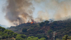 Los incendios forestales han quemado casi 126.000 hect&aacute;reas en lo que va de a&ntilde;o