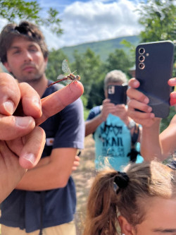 Los `safaris` del Camino Lebaniego se adentran en la flora primaveral de Caloca y los anfibios nocturnos del Nansa