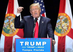 ¿Manifestaciones contra Donald Trump?