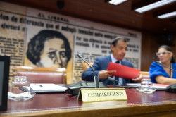 Marlaska pasa del Senado y de la democracia parlamentaria