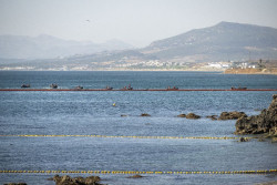 Marlaska se propone  sustituir la barrera flotante que se ha hundido por boyas