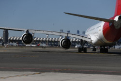 Más de 1.150 órganos para trasplante fueron trasladados en avión durante 2024, según la ONT