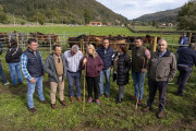 M&aacute;s de 200 ejemplares de equino de 13 ganader&iacute;as de Cabu&eacute;rniga participan en la feria de valle