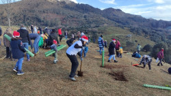 M&aacute;s de 300 voluntarios plantan un millar de &aacute;rboles en Cab&aacute;rceno en cuatro jornadas de reforestaci&oacute;n