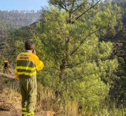 M&aacute;s de 50 efectivos contin&uacute;an con las labores de extinci&oacute;n del incendio de Pinofranqueado (C&aacute;ceres)