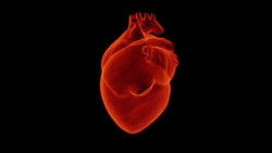 M&aacute;s de la mitad de las muertes por enfermedades cardiovasculares del mundo se producen en Asia