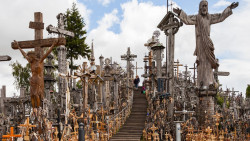 Máximo símbolo de los débiles