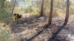 Medios a&eacute;reos y terrestres combaten un incendio forestal en Llucmajor