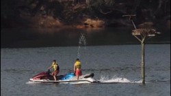 Motos de agua y embarcaciones a punto de "cargarse" el habitat  de las águilas pescadoras de la Bahía de Santander