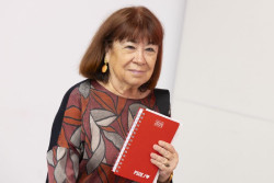 Narbona admite que Leire D&iacute;ez le ofreci&oacute; informaci&oacute;n, pero le deriv&oacute; a Cerd&aacute;n y no recibi&oacute; ning&uacute;n archivo