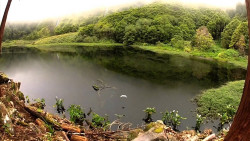 Naturaleza automotivada, por el Dr. Alfonso Campuzano