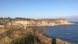 No mates a la rana ¡hombre!, por Carlos Magdalena