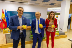 Novales acoge el s&aacute;bado la fiesta de los `Limones solidarios`, con Sandra Golpe como embajadora