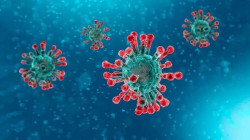 Nuevas herramientas permiten un r&aacute;pido seguimiento de variantes