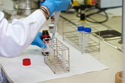 Oryzon recibe la autorización de la EMA para un ensayo clínico en anemia de células falciformes