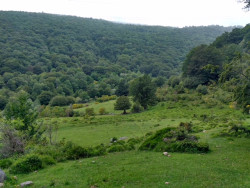 Persecución a la fauna salvaje en pleno boom Ecoturístico mundial