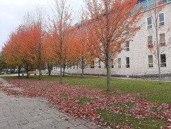 Piden 5 años y tres meses de cárcel para un acusado de robar tres bicis en unos garajes de Torrelavega