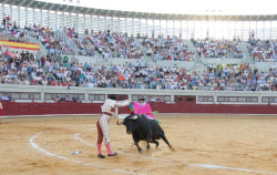 PP y Vox impulsan en el Congreso la creaci&oacute;n de un registro nacional de festejos taurinos, con la abstenci&oacute;n del PSOE