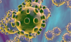 Premisa de dudosa etiologia. ALFONSO CAMPUZANO