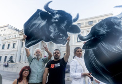 Promotores de ILP contra el blindaje legal de la tauromaquia critican la "cobardía" del PSOE: "Responderemos con fuerza"