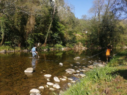 Red Cambera busca voluntarios para estudiar y conservar los r&iacute;os de Cantabria