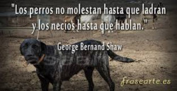 Refranero y política