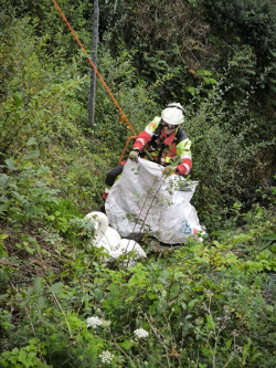 Rescatado un cisne que había caído por un talud de cinco metros en Treto