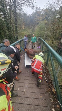 Rescatan a una yegua atrapada en la pasarela peatonal de La Penilla