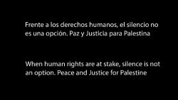 S&aacute;nchez manda emitir en RTVE un mensaje de apoyo a Gaza antes de la final de Eurovisi&oacute;n