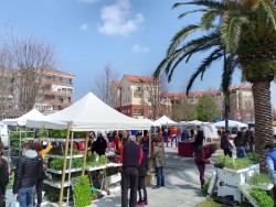 Santa Cruz de Bezana celebra la IV Feria de la Huerta con 50 puestos de venta