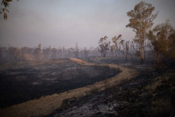 Sanz confirma "avances" en el incendio de Niebla aunque con "incertidumbre" ante otro cambio de viento