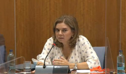 Saqueadores de Andaluc&iacute;a. Por Jes&uacute;s Salamanca Alonso