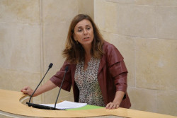 Se pide  extender el programa de detección precoz del cáncer de mama entre los 45 y los 74 años