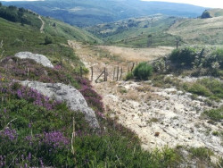 SEO/BridLife pide desestimar el proyecto e&oacute;lico Anajana al considerarlo "ambientalmente inviable"