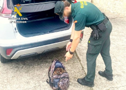  Sorprendidos dos pescadores furtivos con m&aacute;s de 16 kilos de percebes en la costa de Santillana
