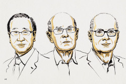Susumu Kitagawa, Richard Robson y Omar Yaghi, Premio Nobel de Química 2025 por desarrollar estructuras metalorgánicas