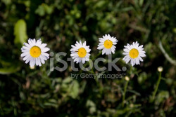 Tetrálogo insonorizado