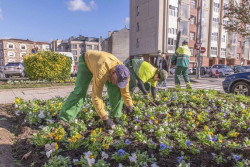 Torrelavega abre el plazo para optar a tres plazas de operario de jardiner&iacute;a en el SERCA