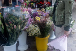 Torrelavega acoge hasta el sábado el Mercado de las Flores