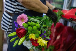 Torrelavega acoger&aacute; el Mercado de las Flores del 29 de octubre al 1 de noviembre
