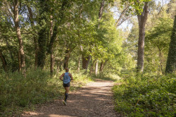 Torrelavega adjudicará el acondicionamiento de las sendas del Patatal por 422.000 euros