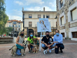 Torrelavega celebra la V Jornada de adopci&oacute;n y respeto hacia los animales