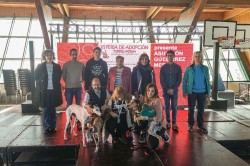 Torrelavega convoca las subvenciones para proyectos de Bienestar Animal de 2024 con 40.000 euros