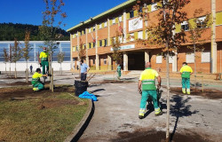 Torrelavega incrementar&aacute; las zonas verdes y el arbolado