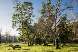 Torrelavega mejorará el acceso a La Viesca y los aparcamientos