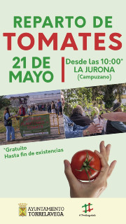 Torrelavega repartir&aacute; este jueves 15.000 plantones de tomate de variedades antiguas