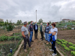 Torrelavega repartir&aacute; plantas arom&aacute;ticas, culinarias y de tomate a sus usuarios de los huertos urbanos