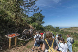 Torrelavega Slow a&uacute;n tiene plazas para las dos nuevas experiencias que ofrecer&aacute; este fin de semana