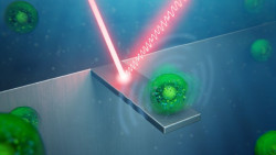 Un equipo del CSIC demuestra que las células humanas `vibran`, lo que podría servir para detectar enfermedades